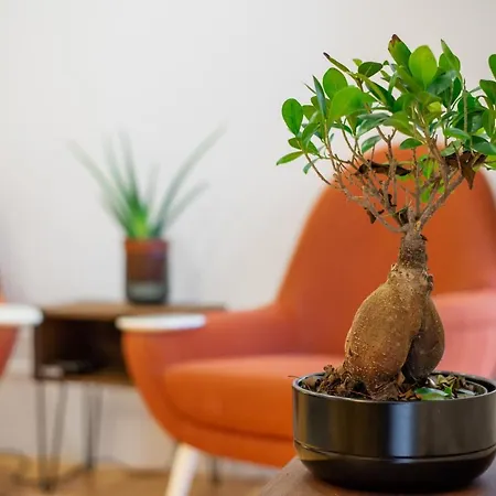 Cost Parking - Private Garden - Almada 392 Διαμέρισμα Πόρτο