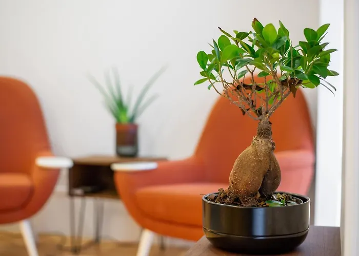 Cost Parking - Private Garden - Almada 392 Apartment Porto